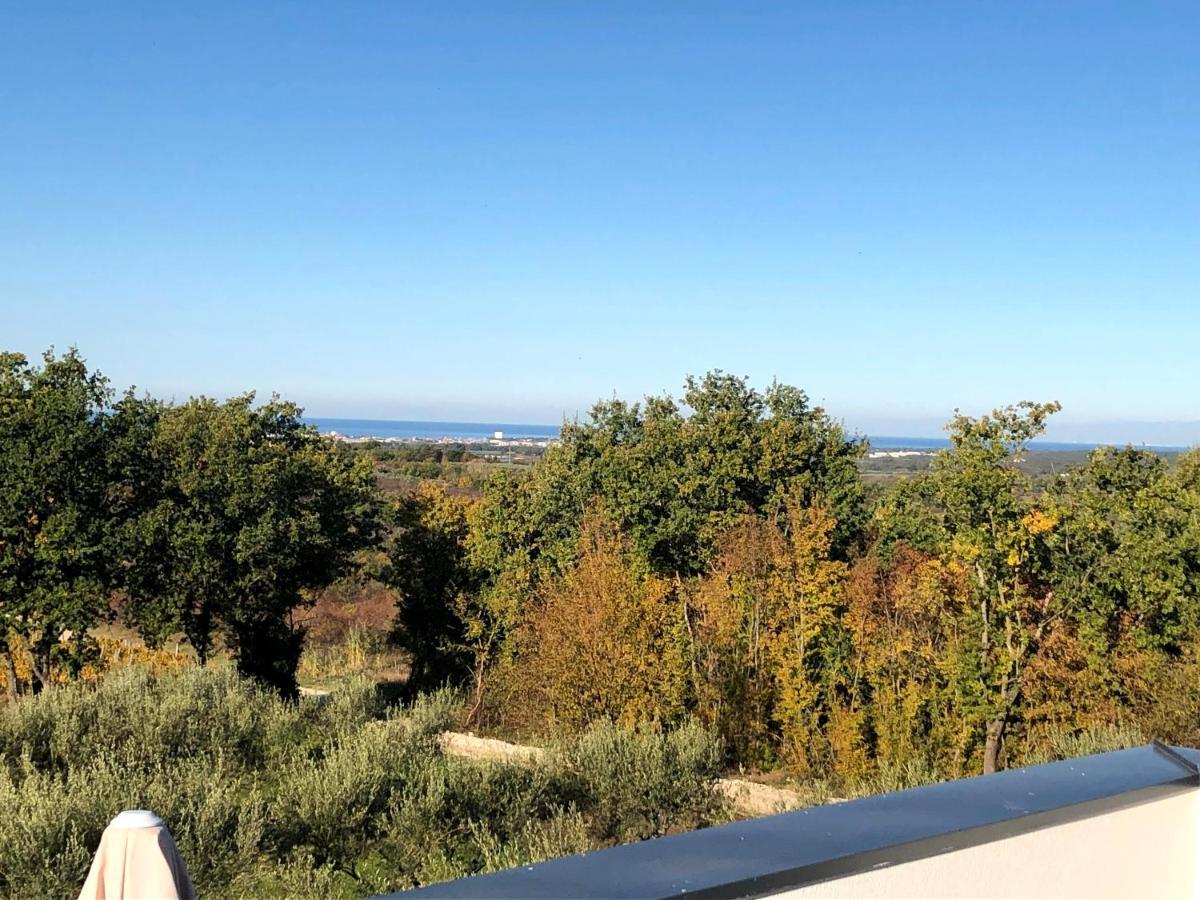 Boiky - Private Pool And Amazing Sea View, Istria