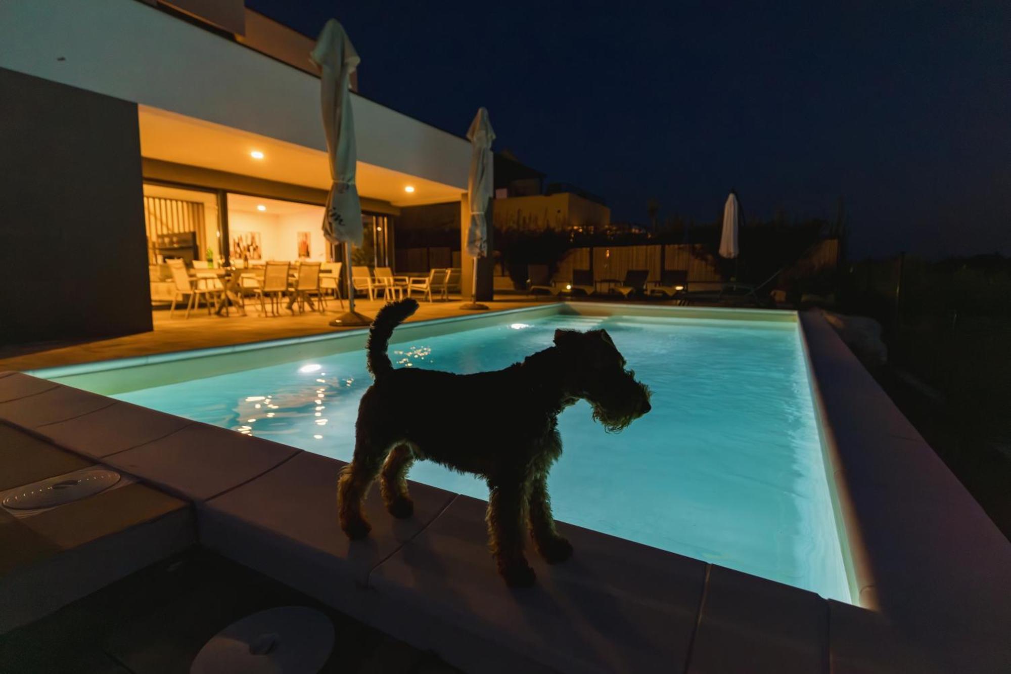 Boiky - Private Pool And Amazing Sea View, Istria *