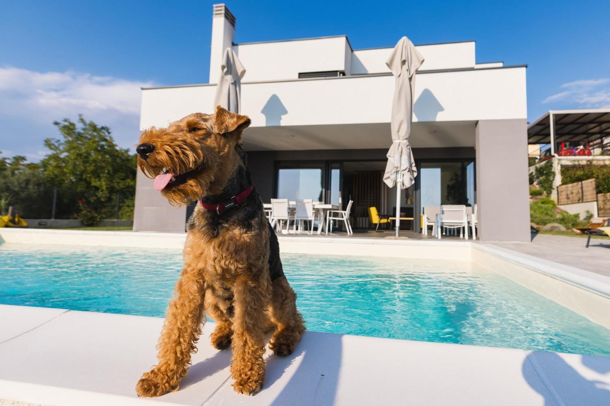 Villa Boiky - Private Pool And Amazing Sea View, Istria *
